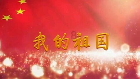 白莲花守则